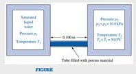 563_Figure 9.jpg