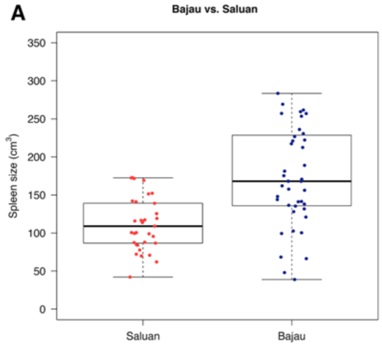 582_figure7.jpg