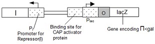 584_Schematic.jpg