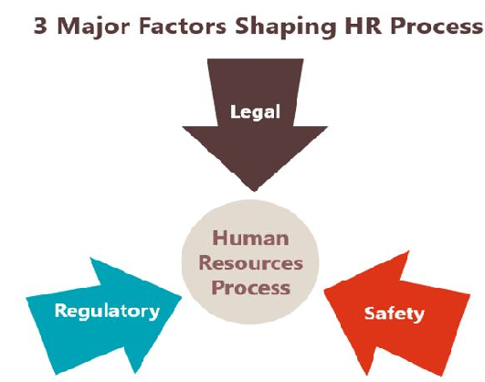 828_Major Factors Shaping HR Process.png