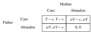 82_matrix 2.jpg