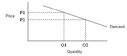 891_Pace Elasticity of Demand1.png