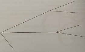 954_notation.jpg