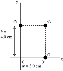 955_Find the net force.png